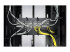 AR7707 - APC - Cable management ring - Front
